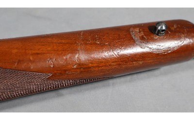 Ruger~M77~.22-250 - Image 12 of 12