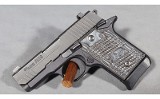Sig Sauer~P938~9mm Luger - 2 of 5