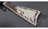 Henry~H004AE "American Eagle"~.22 S, L, LR - 8 of 8