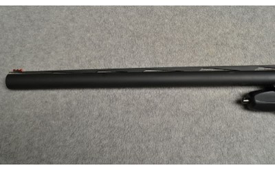 Legacy Sports ~ Pointer ~ 12 Gauge - Image 6 of 11