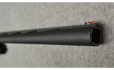 Legacy Sports ~ Pointer ~ 12 Gauge - Image 5 of 11
