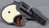 High Standard ~ D-101 ~ .22 cal - Image 1 of 2