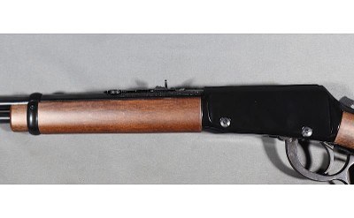 Henry~Model H001~.22 S, L, LR - Image 4 of 10