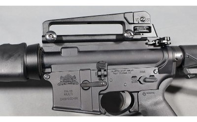 Palmetto State~PA-15~5.56 NATO - Image 5 of 7