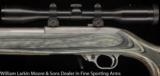 RUGER Custom 10/22 .22LR Swarovski scope Kimber barrel - 3 of 5