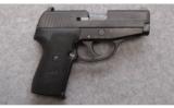 Sig Sauer Model P239
.40 S&W - 1 of 3