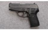 Sig Sauer Model P239
.40 S&W - 2 of 3