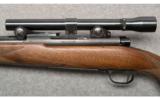 Winchester Model 70 .270 W.C.F. - 8 of 8