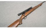 Winchester Model 70 .270 W.C.F. - 4 of 8