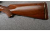 Ruger M77
.30-06 SPRG. - 7 of 8