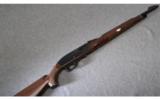Remington Mohawk 10C .22 LR - 1 of 8