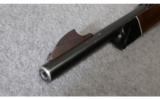 Remington Mohawk 10C .22 LR - 8 of 8