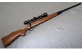 Winchester Model 70 .22-250Heavy Barrel - 1 of 8