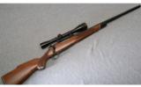 Winchester Model 70 Varmint.243 WIN. - 1 of 7