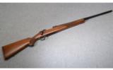 Ruger M77 Varmint .22-250 - 1 of 9