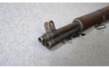Springfield M1 Garand
.30-06 - 8 of 9