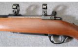 Ruger M77 Varmint.22-250 Rem. - 6 of 9