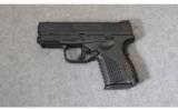 Springfield Armory XDS.45 ACP - 2 of 2