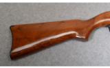 Ruger 10/22 Carbine
.22 Long Rifle - 5 of 8