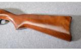 Ruger 10/22 Carbine
.22 Long Rifle - 7 of 8