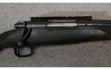Winchester Model 70 Black Shadow
.25-06 Rem. - 2 of 8