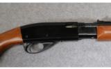 Remington 572 Fieldmaster
.22 S/L/LR - 2 of 8