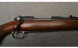 Winchester Model 70 .257 Roberts - 7 of 7