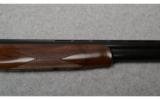 CZ Canvasback Gold
12 Gauge - 3 of 9