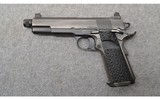 Dan Wesson ~ Wraith ~ 10 mm - 2 of 2
