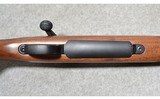 Remington ~ 700 ~ .300 Win. - 5 of 10