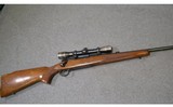 Winchester ~ Model 70 ~ 270 Winchester - 1 of 10