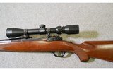Ruger ~ Model M77 ~ 243 Winchester - 7 of 9