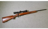 Ruger ~ Model M77 ~ 243 Winchester