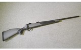 Weatherby ~ Vanguard ~ 243 Winchester - 1 of 10