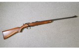 Winchester
Model 69
22 short, long, and long rifle