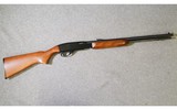 Remington Arms ~ Model 572 Fieldmaster ~ 22 short, long, and long rifle