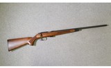 Remington Arms ~ Model 541-T ~ 22 Long Rifle