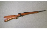 Remington ~ Model 600 Mohawk ~ 6 mm Remington