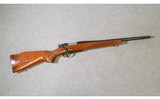 Remington
Model 600 Mohawk
243 Winchester