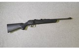 Remington ~ Model 514 ~ .22 Short, Long, and Long Rifle