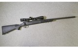 Remington ~ Model 700 ~ 308 Winchester