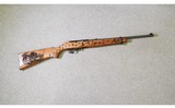 Ruger ~ Model 10/22 ~ 22 Long Rifle - 1 of 11