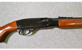 Remington ~ Model 572 ~ 22 Short, Long, and Long Rifle - 3 of 10