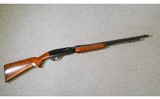 Remington ~ Model 572 ~ 22 Short, Long, and Long Rifle