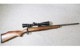 Savage ~ Model 110 ~ 25-06 Remington - 1 of 10