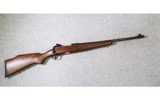 Savage ~ Model 10 ~ 243 Winchester