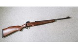 Savage ~ Model 10 ~ 243 Winchester - 1 of 10