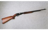 Winchester ~ Model 61 ~ 22 Short, Long, and Long Rifle - 1 of 11