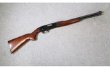 Winchester ~ Model 290 ~ 22 Short, Long, and Long Rifled