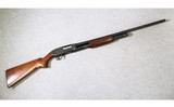 Winchester ~ Model 12 ~ 20 Gauge